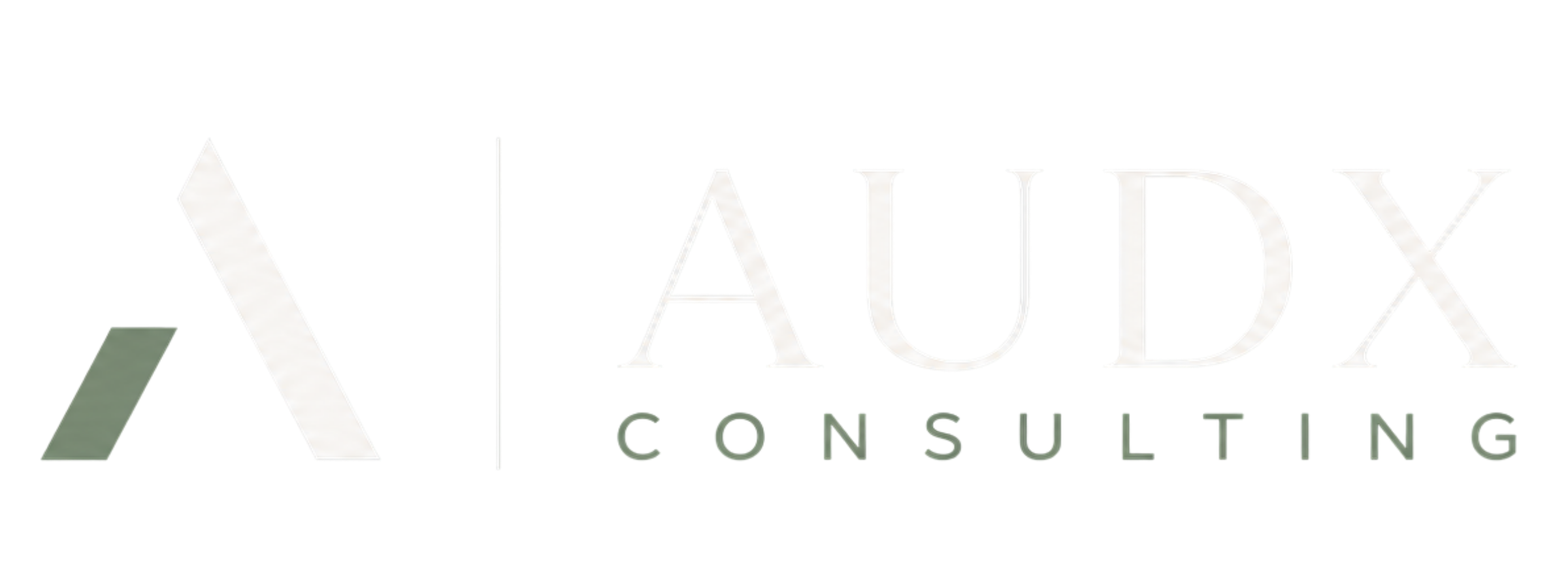AUDX Consulting